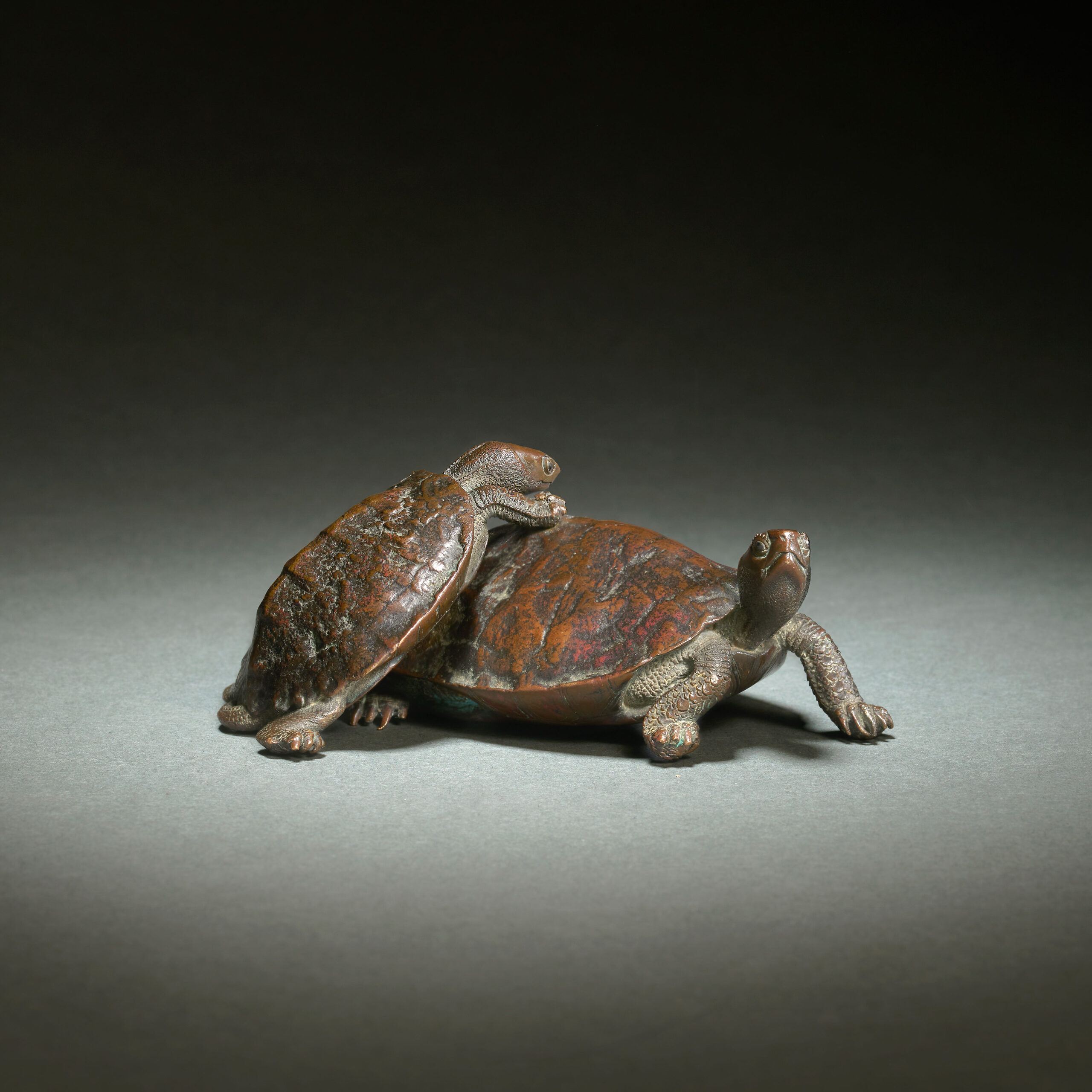 Bronze Turtle Group