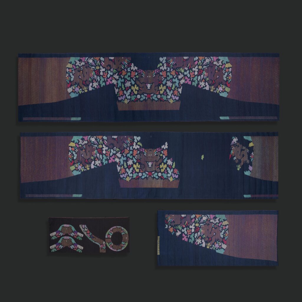 Dragon Robe