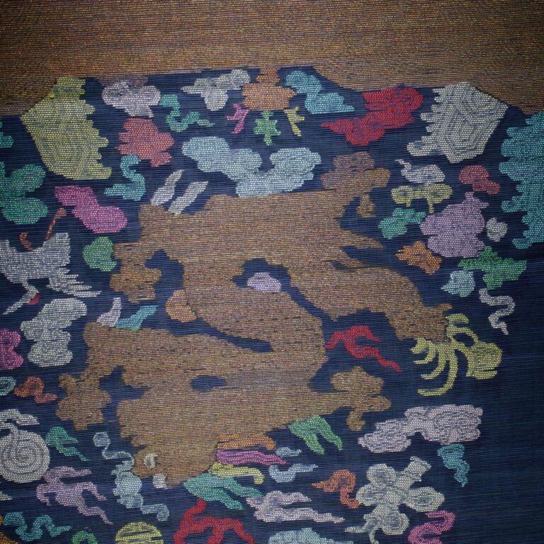 Dragon Robe