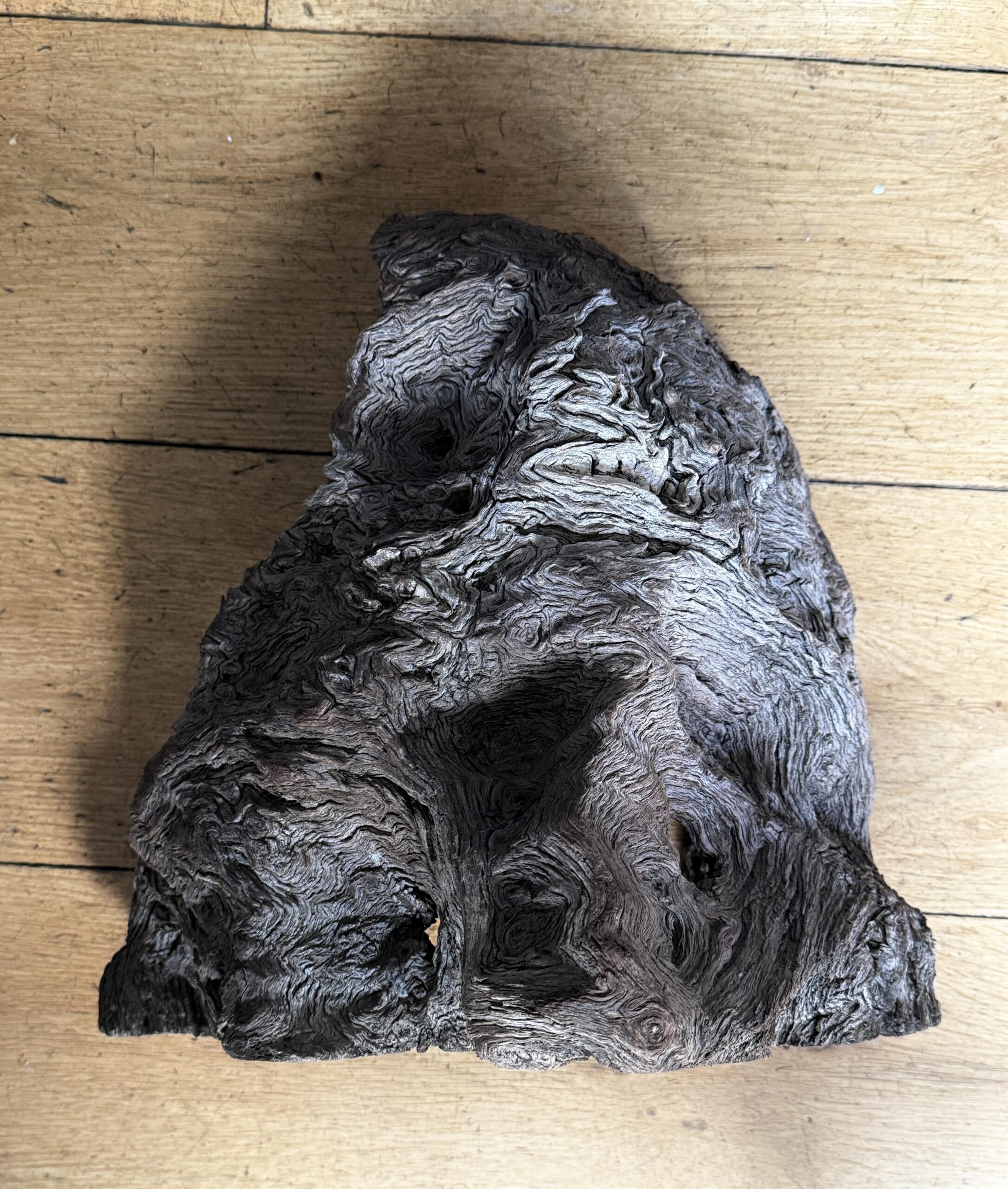 Root Sculpture