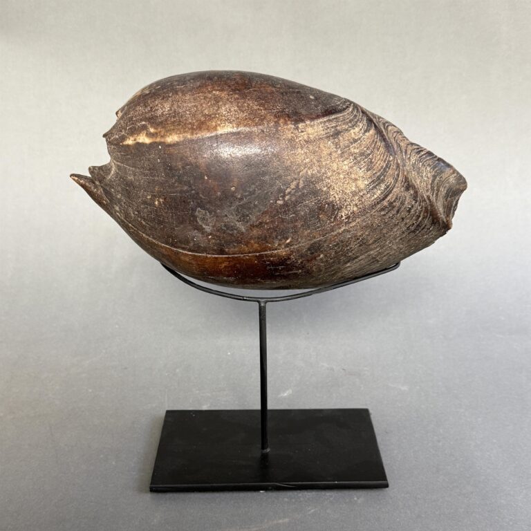 Shell