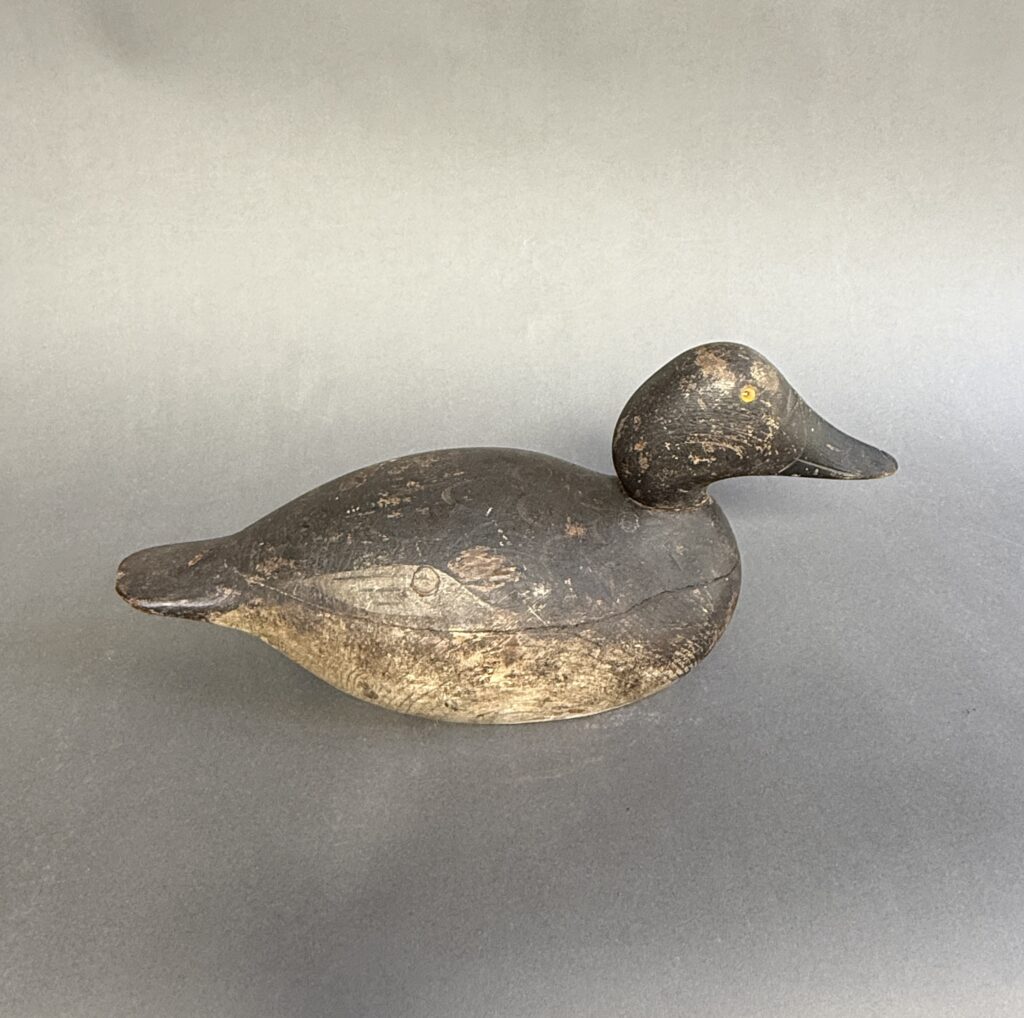 Duck Decoy