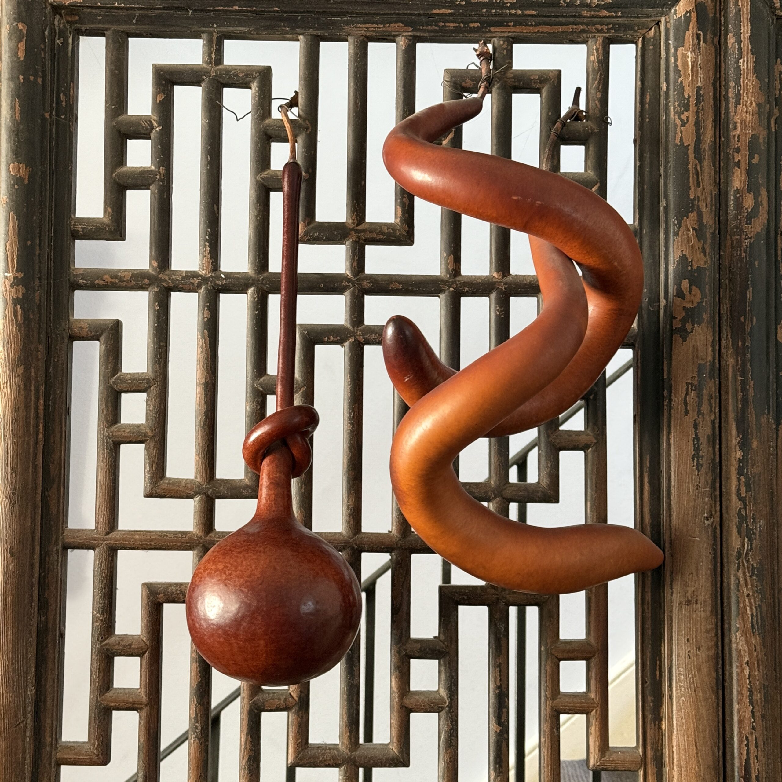 Gourds