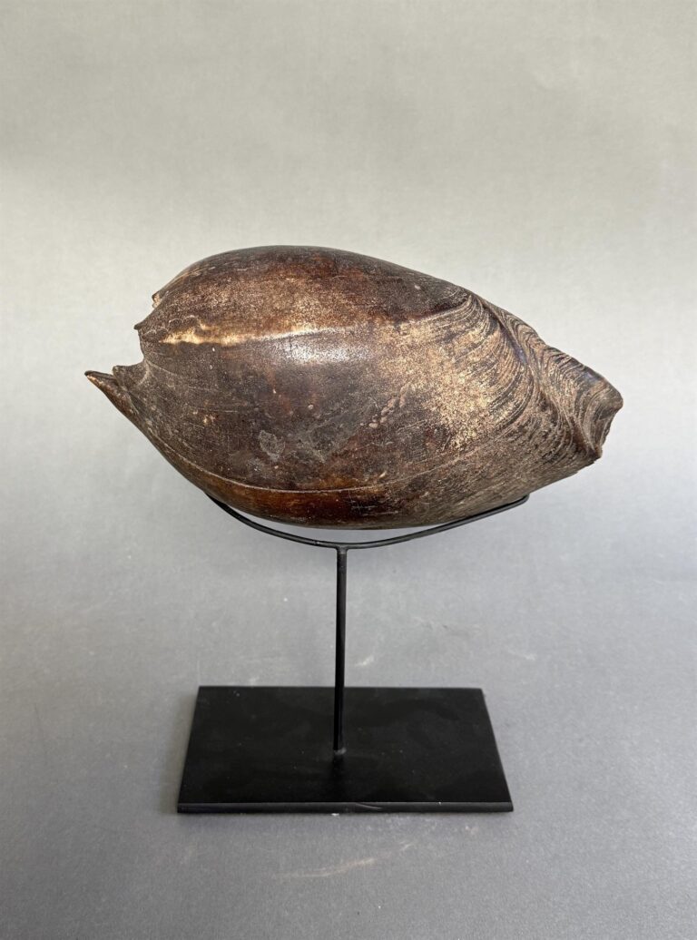 Shell