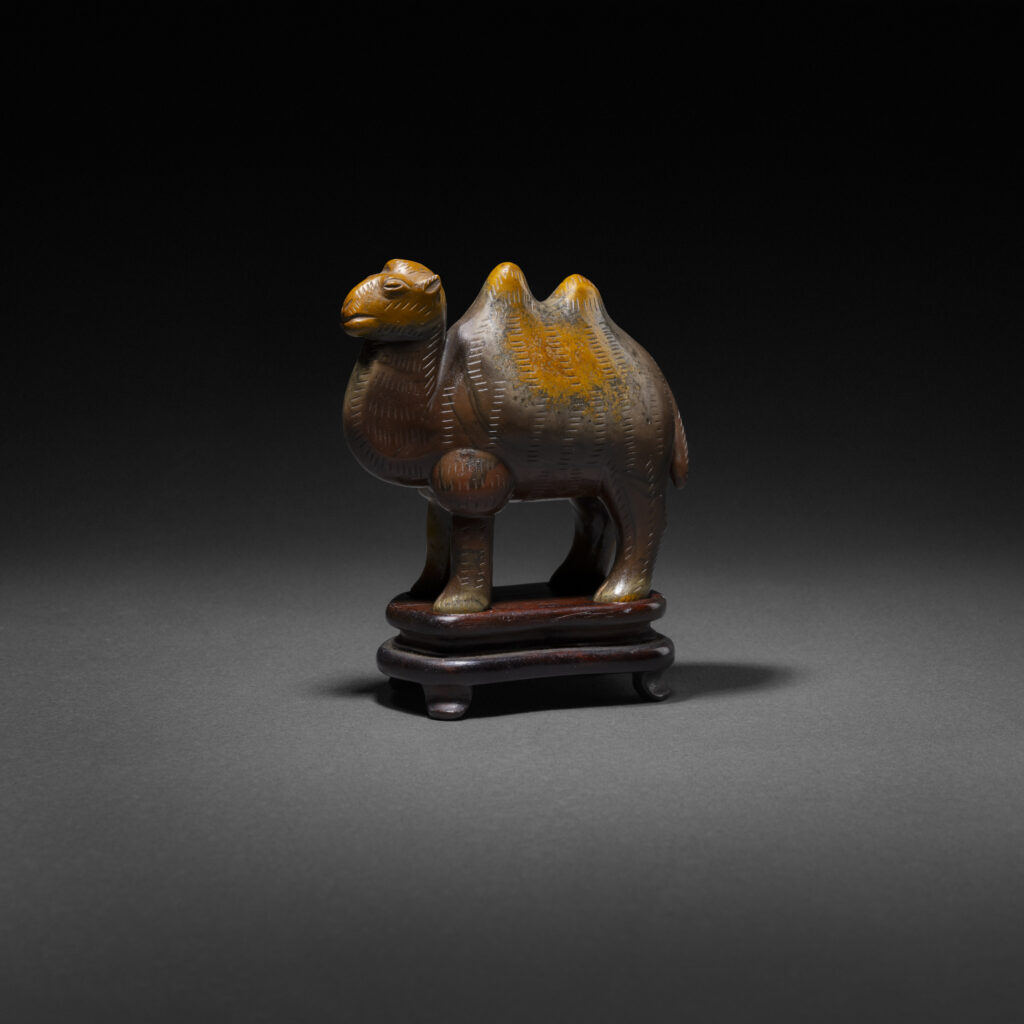 Camel