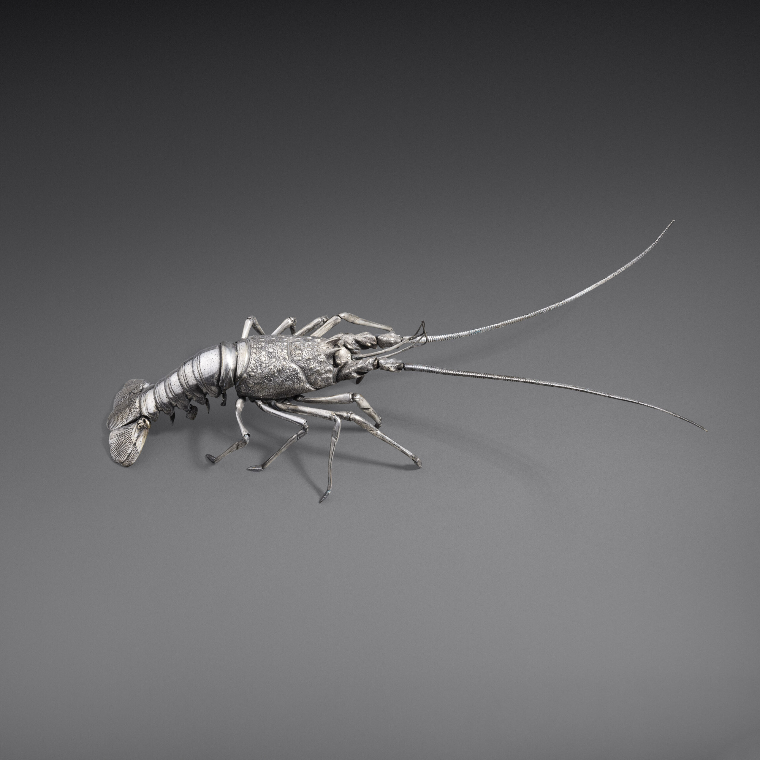 Silvered Crayfish