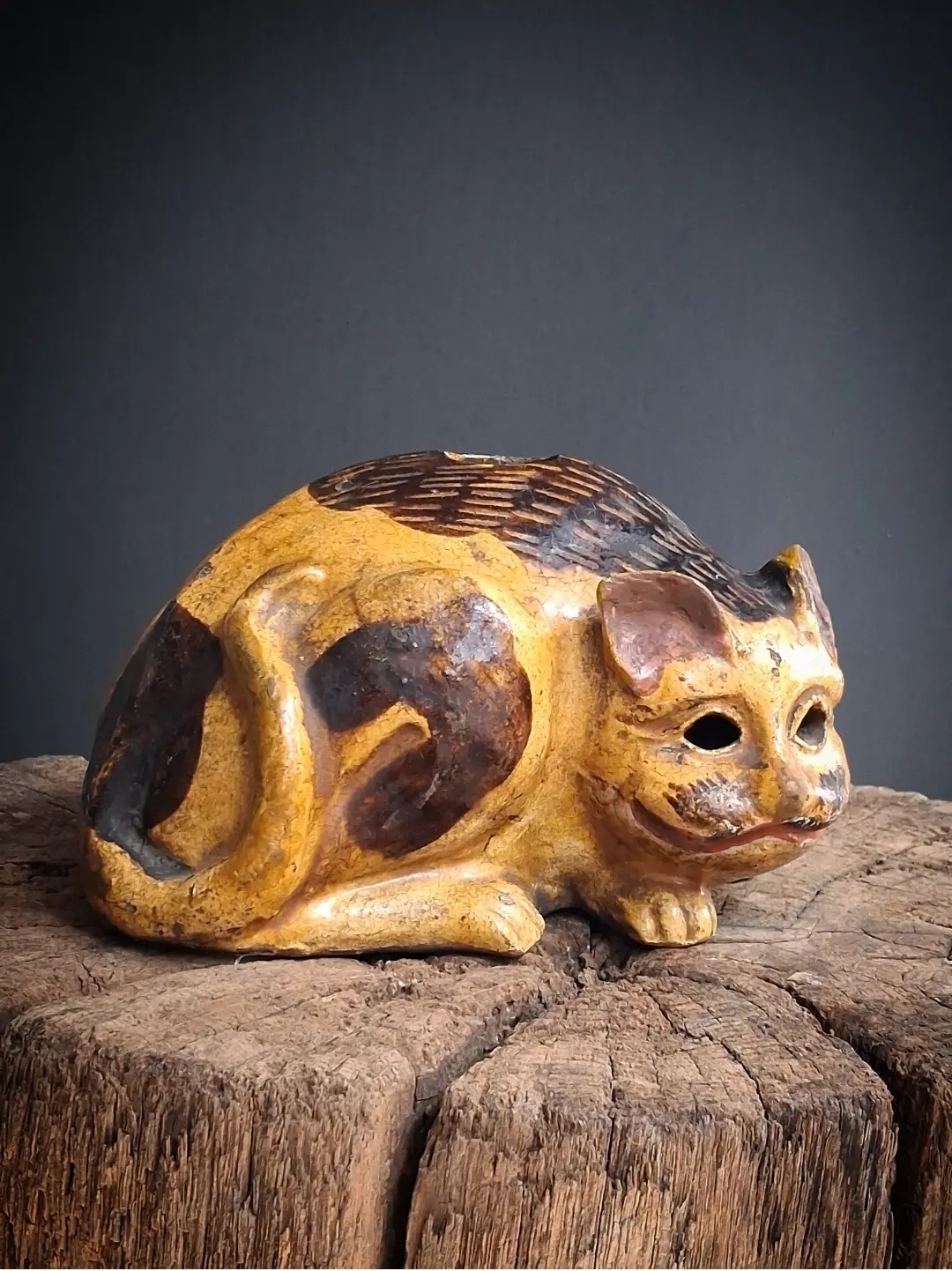 Crouching calico cat