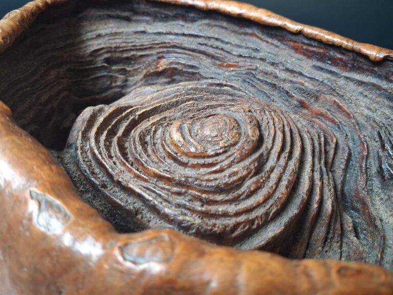 Burr wood sculpture