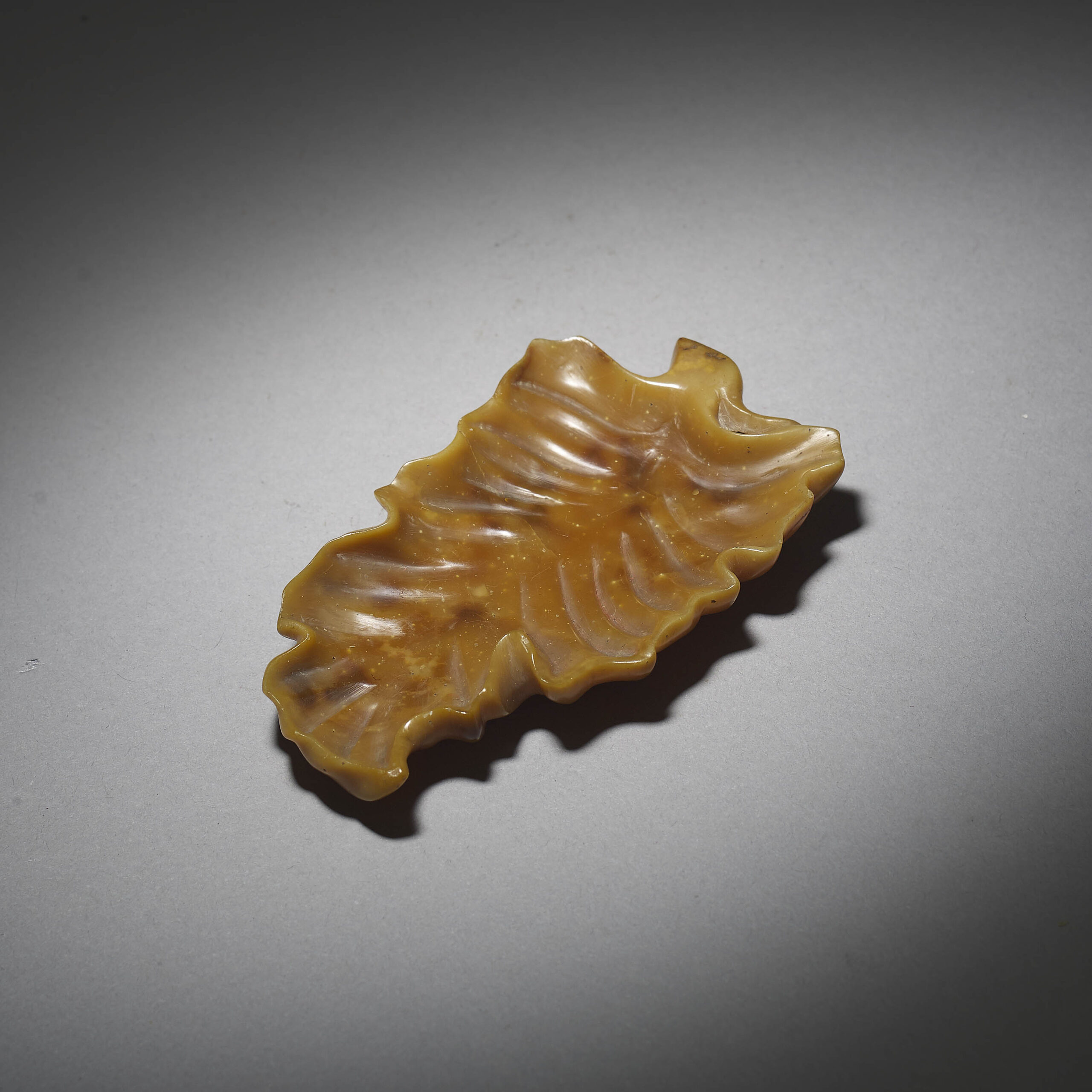 Brush Washer