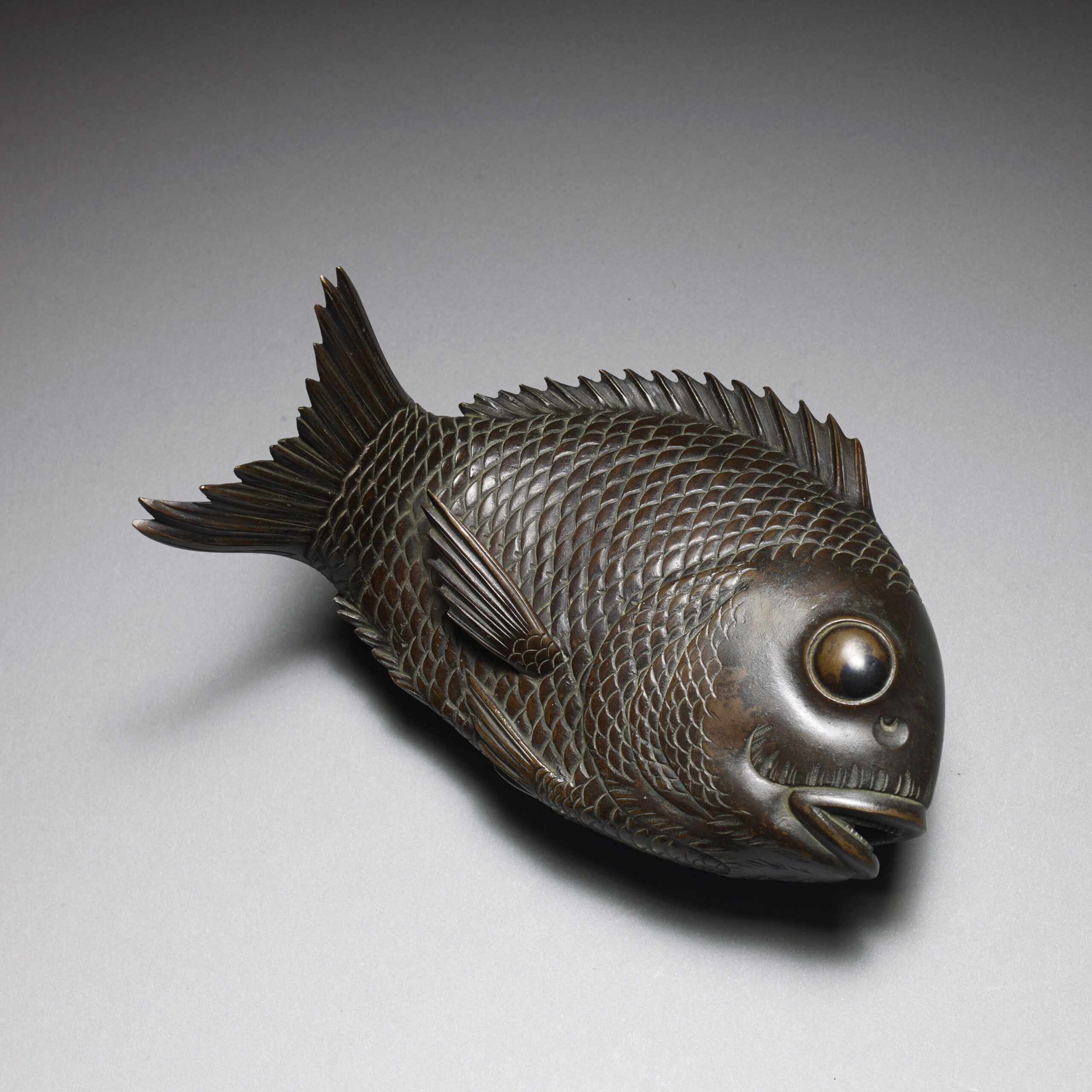Red Snapper