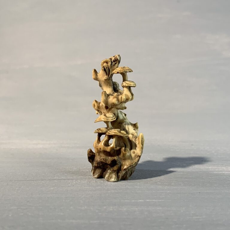 Miniature Curiosities Part 1