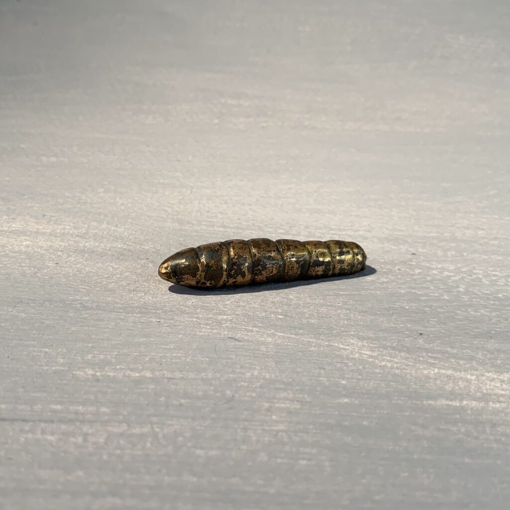 Silkworm
