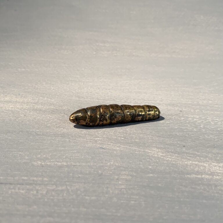 Silkworm