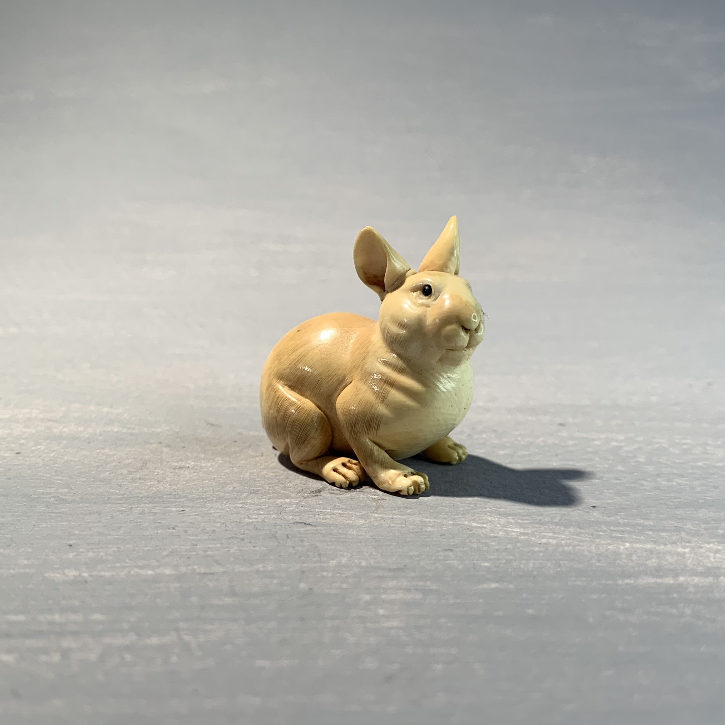 Ivory Rabbit