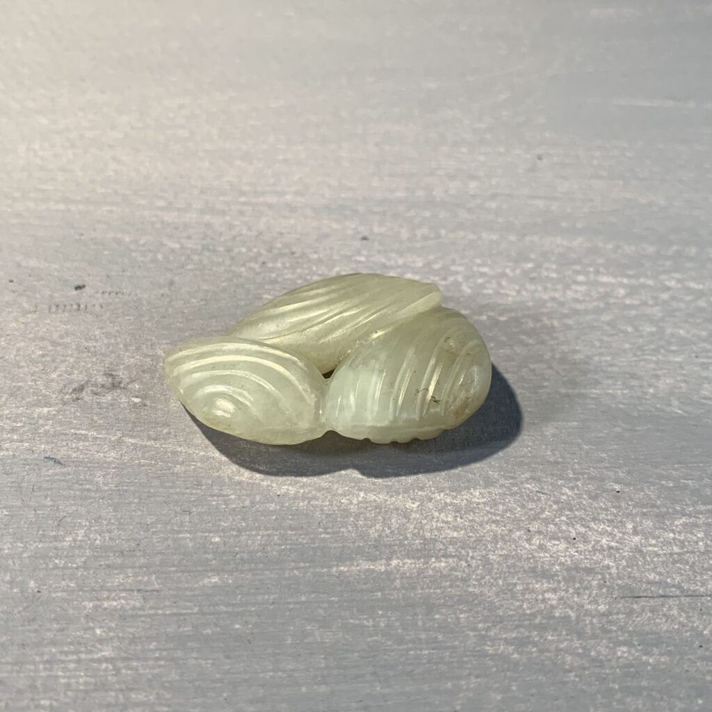 Jade Shells
