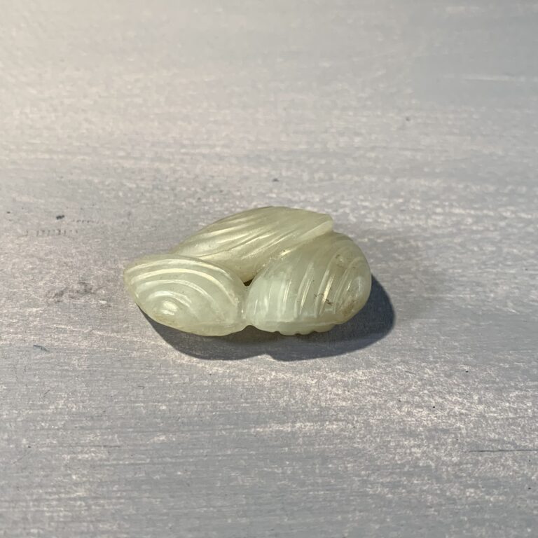 Jade Shells