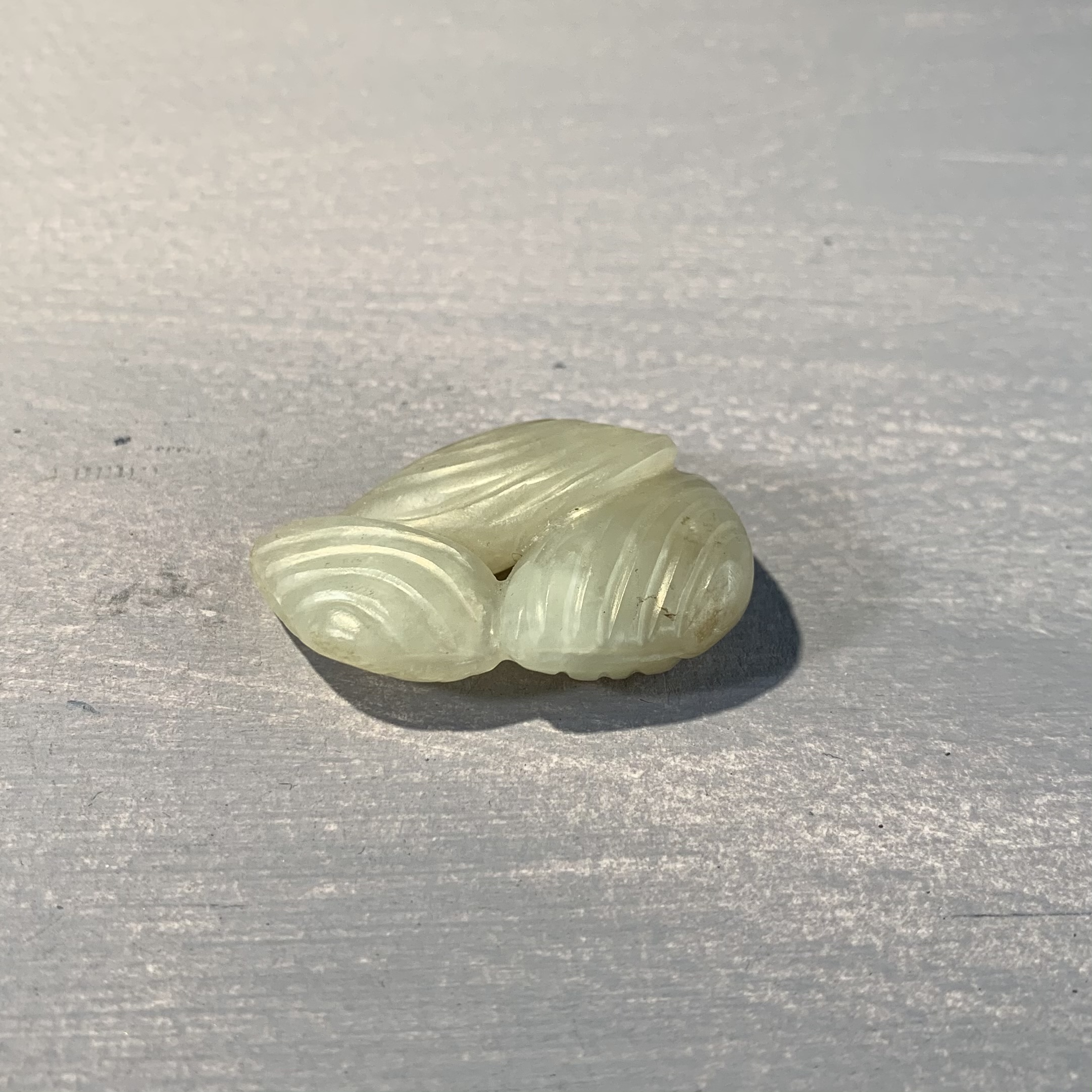 Jade Shells