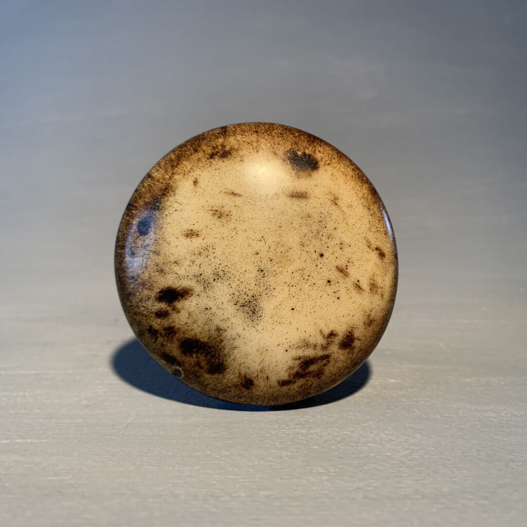 Circular Staghorn Clasp