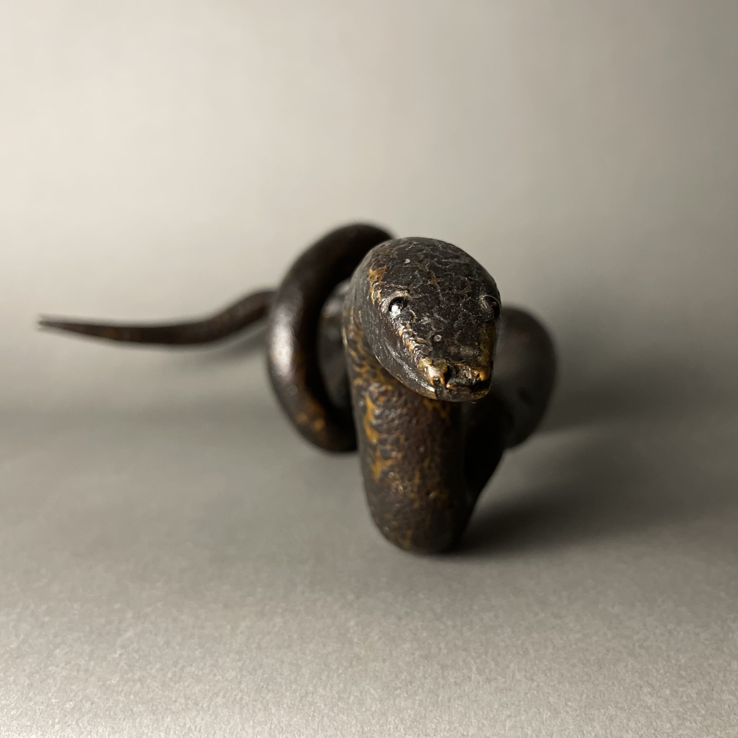 Snake