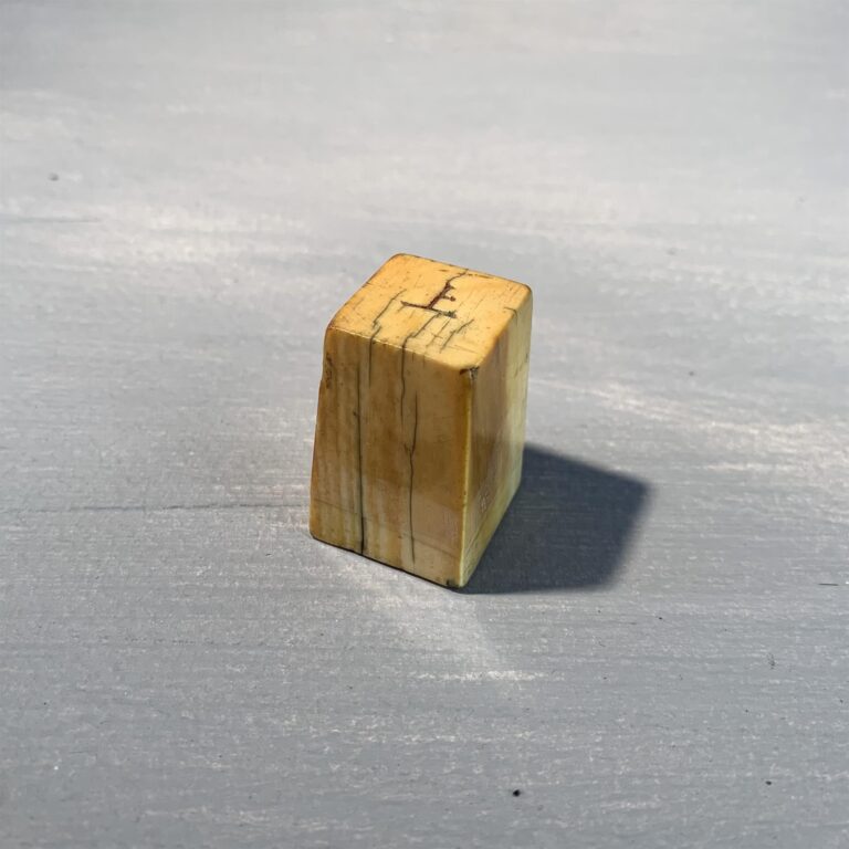 Ivory Seal